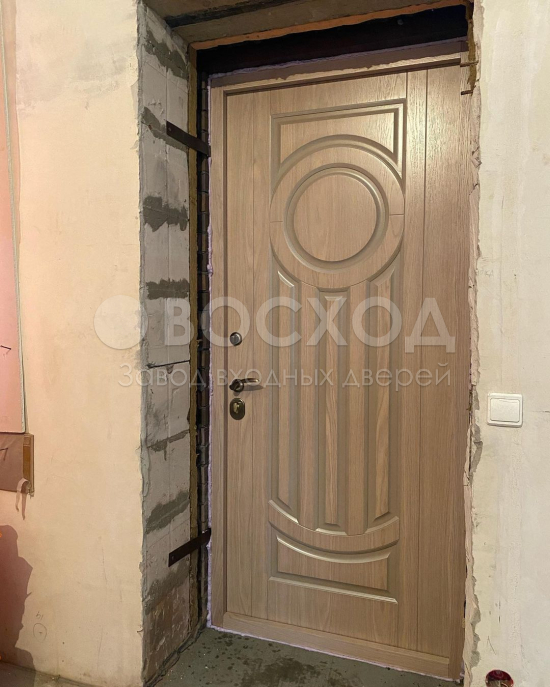 Фото стальной двери №90